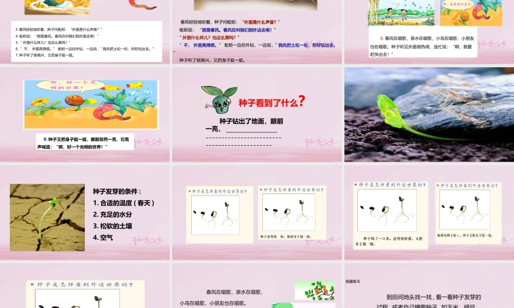 二年级语文下册 课文1 2 一粒种子课件 西师大版-西师大版小学二年级下册语文课件