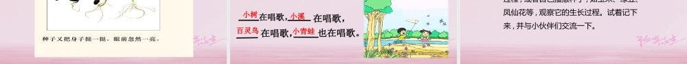 二年级语文下册 课文1 2 一粒种子课件 西师大版-西师大版小学二年级下册语文课件