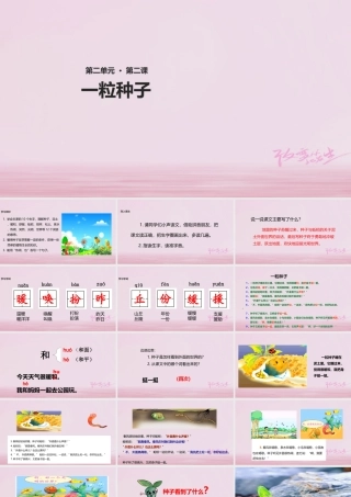 二年级语文下册 课文1 2 一粒种子课件 西师大版-西师大版小学二年级下册语文课件