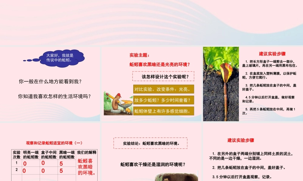 五年级科学上册 1.4《蚯蚓的选择》课件（3） 教科版-教科版小学五年级上册自然科学课件