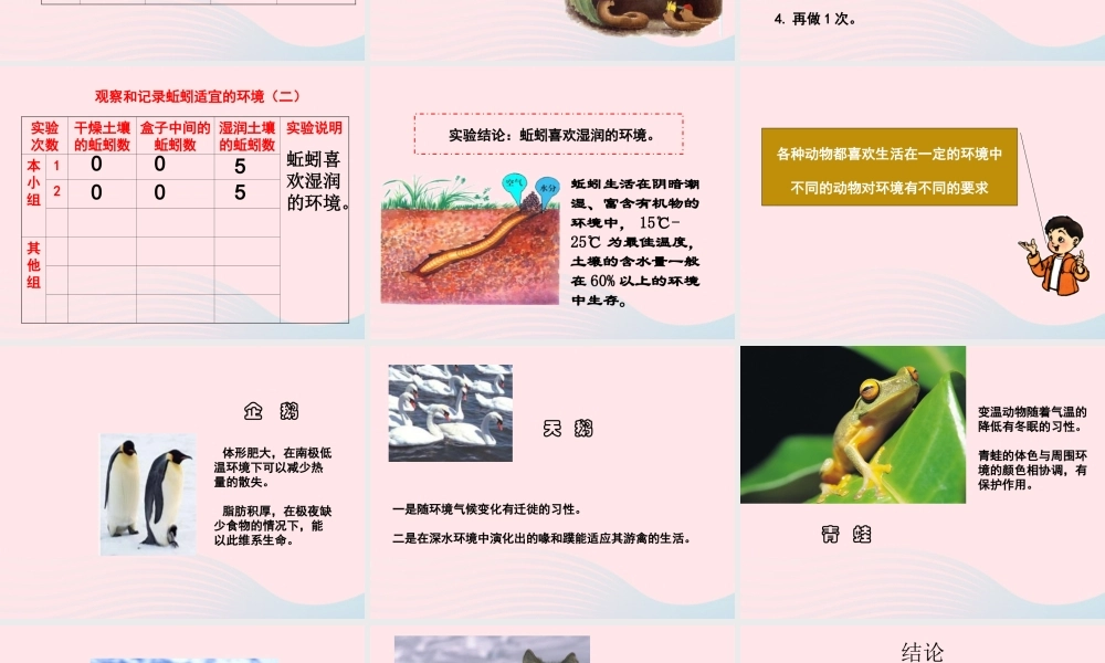 五年级科学上册 1.4《蚯蚓的选择》课件（3） 教科版-教科版小学五年级上册自然科学课件