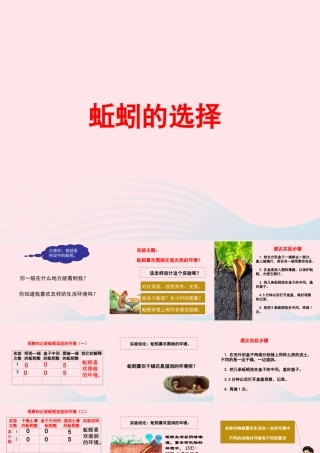 五年级科学上册 1.4《蚯蚓的选择》课件（3） 教科版-教科版小学五年级上册自然科学课件