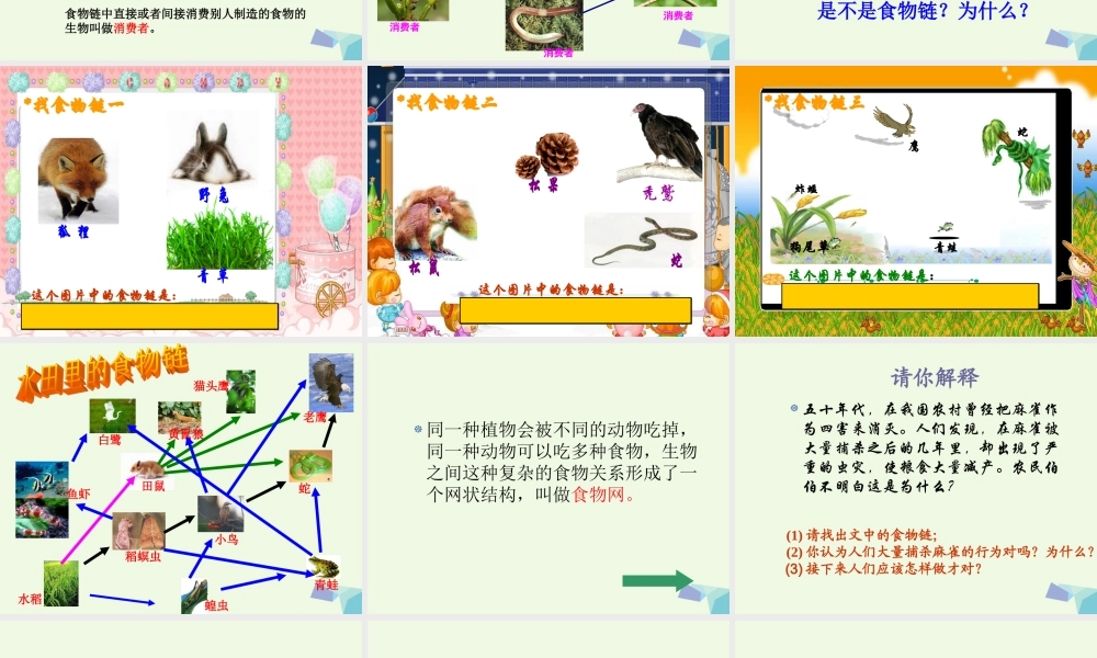 五年级科学上册 1.5 食物链和食物网课件1 教科版-教科版小学五年级上册自然科学课件