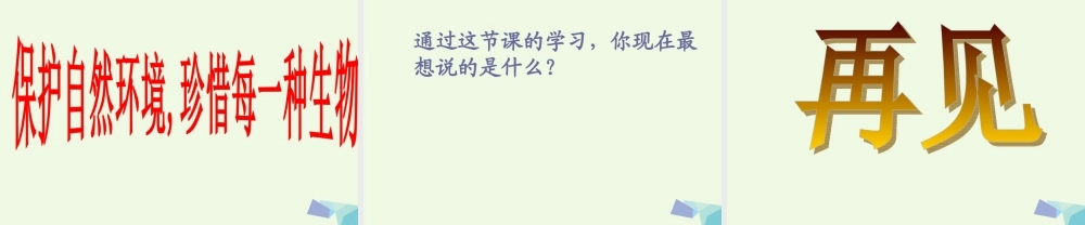 五年级科学上册 1.5 食物链和食物网课件1 教科版-教科版小学五年级上册自然科学课件