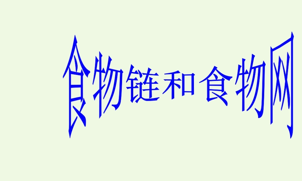 五年级科学上册 1.5 食物链和食物网课件2 教科版-教科版小学五年级上册自然科学课件