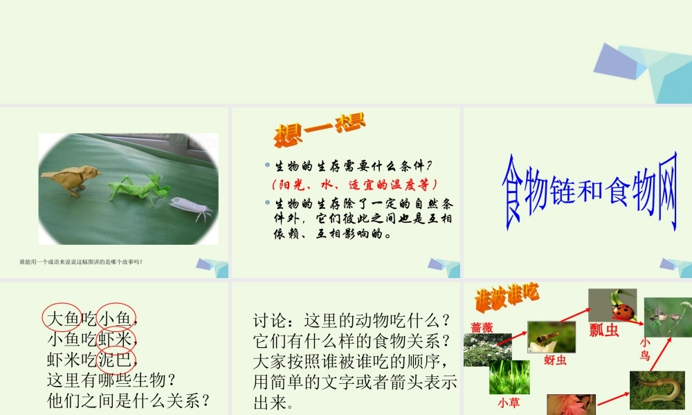 五年级科学上册 1.5 食物链和食物网课件2 教科版-教科版小学五年级上册自然科学课件