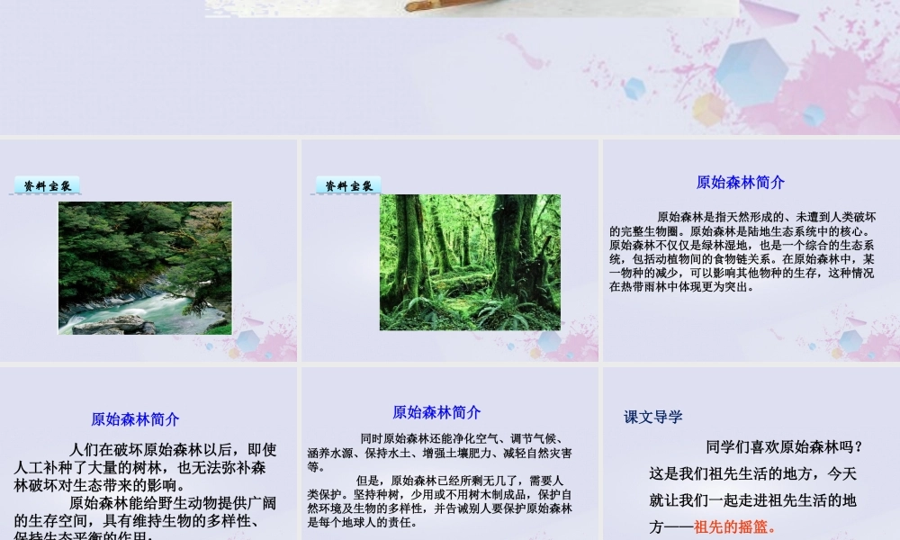 二年级语文下册 第八单元 课文7 23 祖先的摇篮教学课件 新人教版-新人教版小学二年级下册语文课件