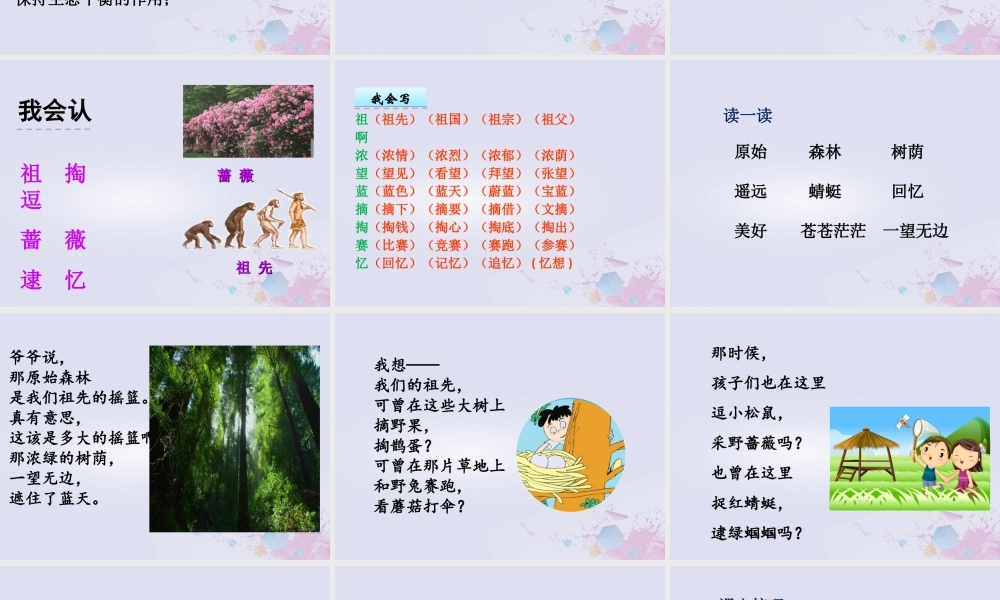 二年级语文下册 第八单元 课文7 23 祖先的摇篮教学课件 新人教版-新人教版小学二年级下册语文课件