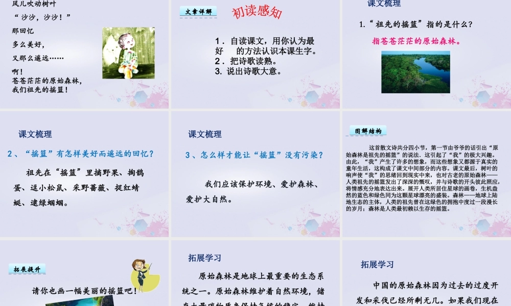 二年级语文下册 第八单元 课文7 23 祖先的摇篮教学课件 新人教版-新人教版小学二年级下册语文课件