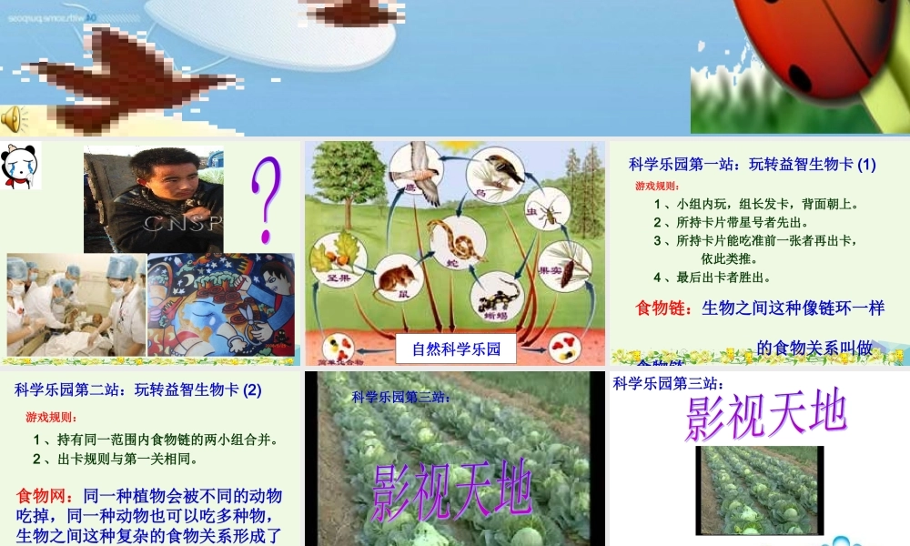 五年级科学上册 1.5 食物链和食物网课件5 教科版-教科版小学五年级上册自然科学课件