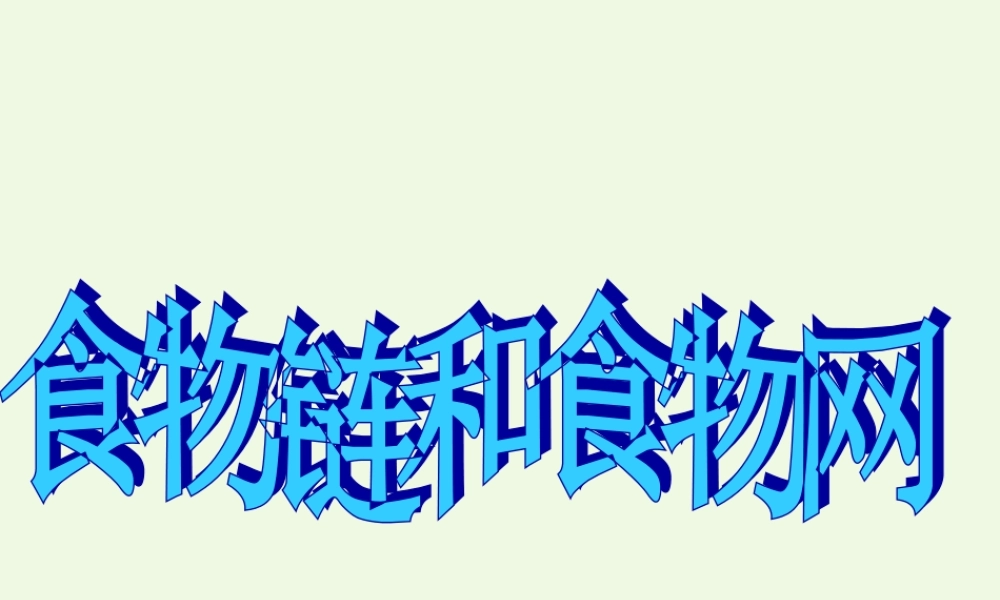 五年级科学上册 1.5 食物链和食物网课件6 教科版-教科版小学五年级上册自然科学课件
