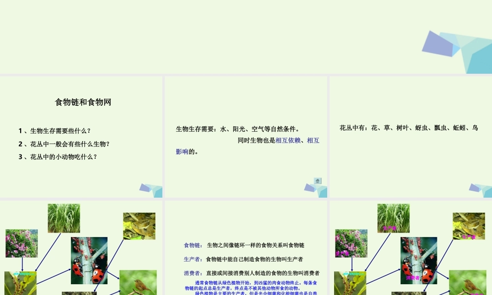 五年级科学上册 1.5 食物链和食物网课件6 教科版-教科版小学五年级上册自然科学课件