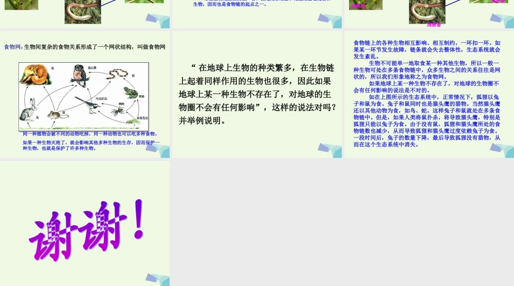 五年级科学上册 1.5 食物链和食物网课件6 教科版-教科版小学五年级上册自然科学课件