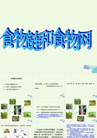 五年级科学上册 1.5 食物链和食物网课件6 教科版-教科版小学五年级上册自然科学课件