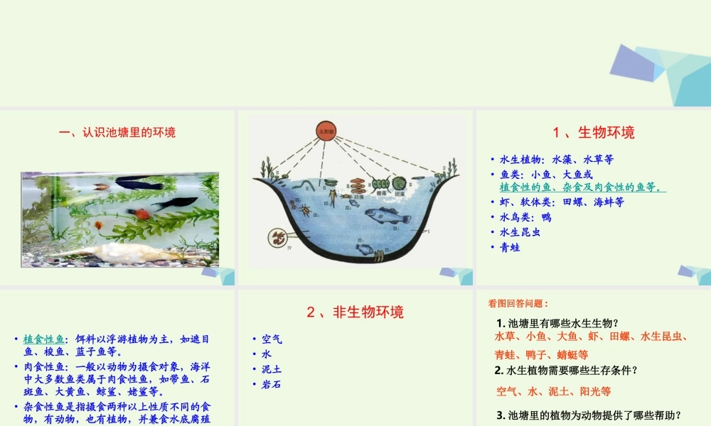 五年级科学上册 1.6 做一个生态瓶课件1 教科版-教科版小学五年级上册自然科学课件