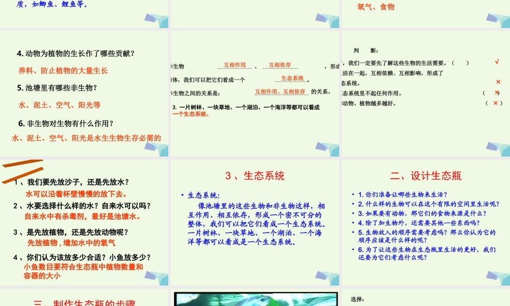 五年级科学上册 1.6 做一个生态瓶课件1 教科版-教科版小学五年级上册自然科学课件