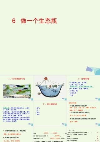 五年级科学上册 1.6 做一个生态瓶课件1 教科版-教科版小学五年级上册自然科学课件