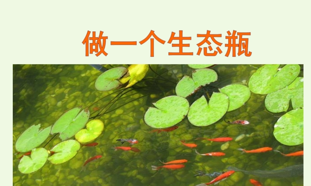 五年级科学上册 1.6 做一个生态瓶课件2 教科版-教科版小学五年级上册自然科学课件