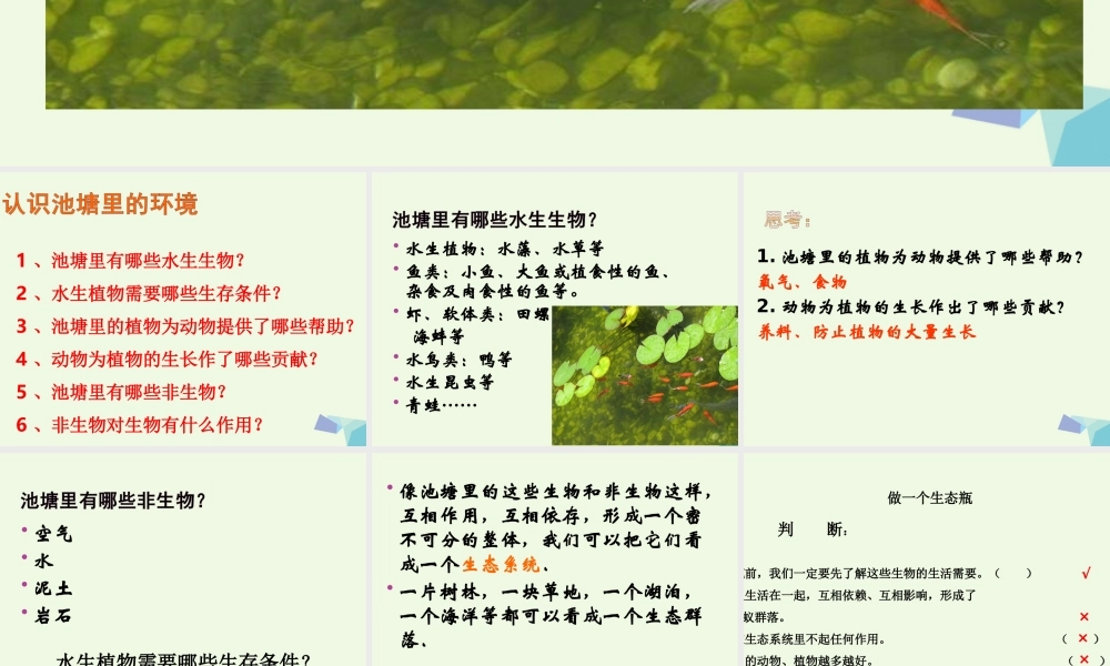 五年级科学上册 1.6 做一个生态瓶课件2 教科版-教科版小学五年级上册自然科学课件