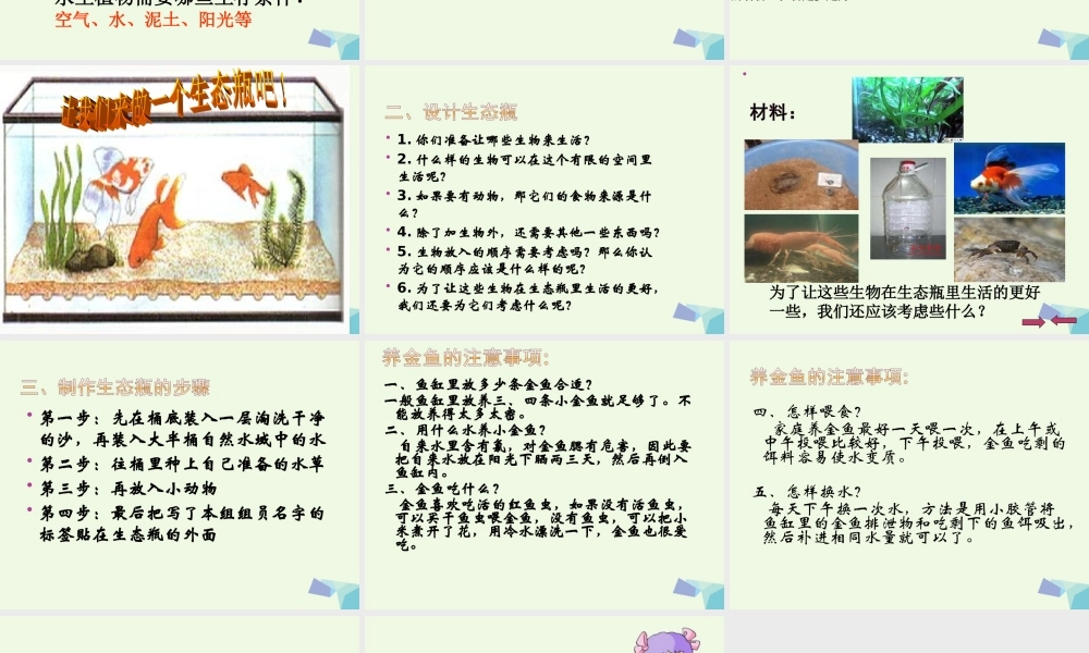 五年级科学上册 1.6 做一个生态瓶课件2 教科版-教科版小学五年级上册自然科学课件