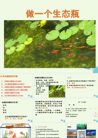 五年级科学上册 1.6 做一个生态瓶课件2 教科版-教科版小学五年级上册自然科学课件