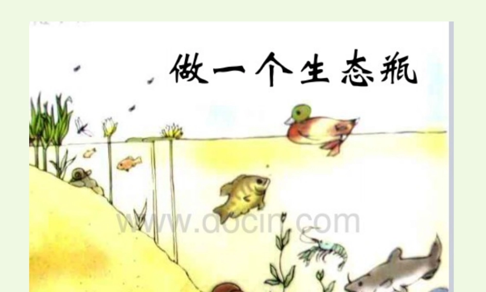 五年级科学上册 1.6 做一个生态瓶课件3 教科版-教科版小学五年级上册自然科学课件