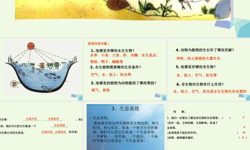 五年级科学上册 1.6 做一个生态瓶课件3 教科版-教科版小学五年级上册自然科学课件
