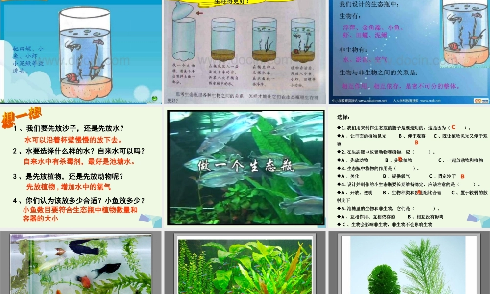 五年级科学上册 1.6 做一个生态瓶课件3 教科版-教科版小学五年级上册自然科学课件