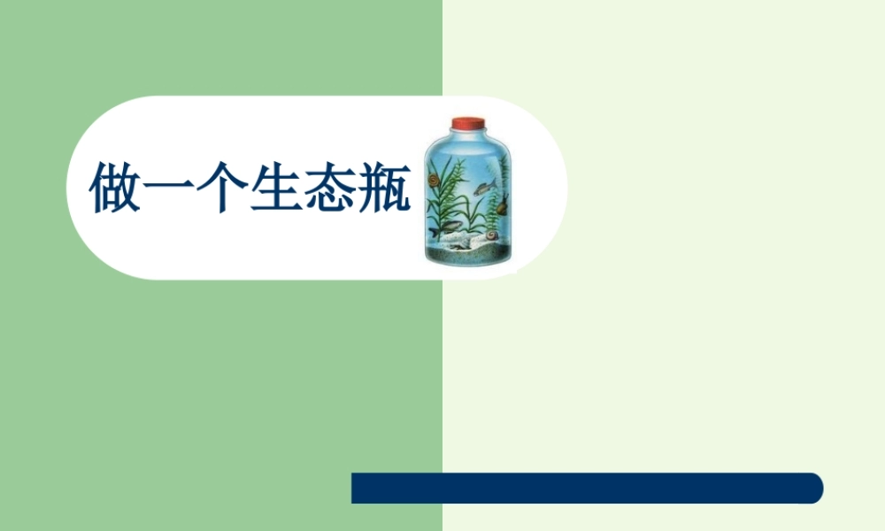 五年级科学上册 1.6 做一个生态瓶课件4 教科版-教科版小学五年级上册自然科学课件