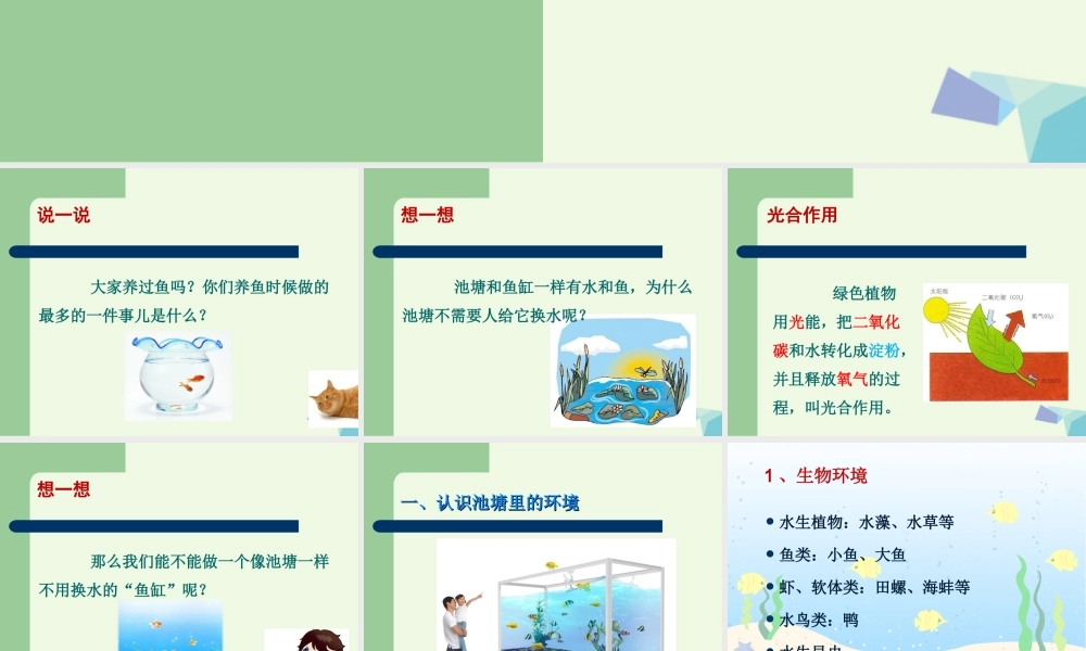 五年级科学上册 1.6 做一个生态瓶课件4 教科版-教科版小学五年级上册自然科学课件