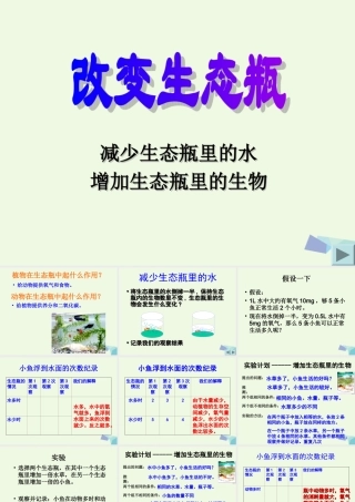 五年级科学上册 1.7 改变生态瓶课件1 教科版-教科版小学五年级上册自然科学课件