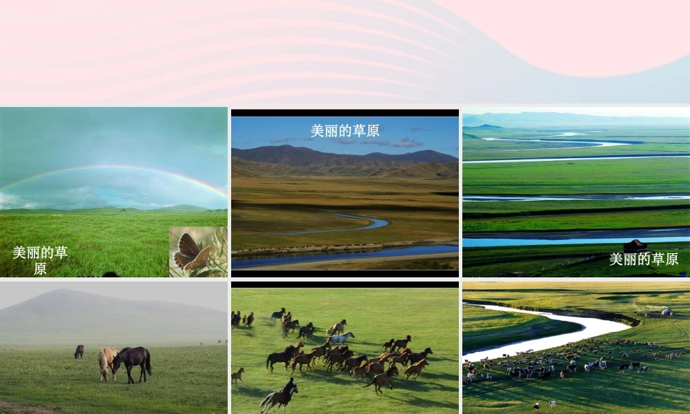 五年级科学上册 1.8《维护生态平衡》课件（1） 教科版-教科版小学五年级上册自然科学课件