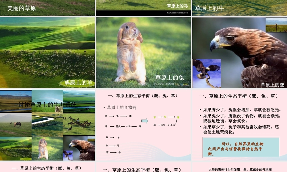 五年级科学上册 1.8《维护生态平衡》课件（1） 教科版-教科版小学五年级上册自然科学课件