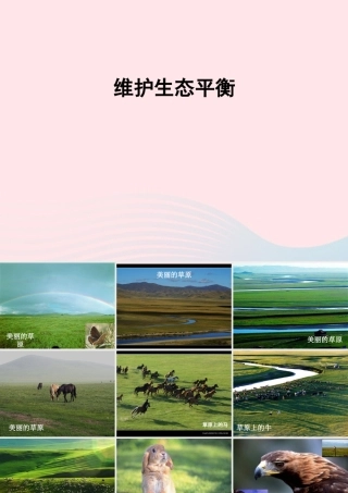 五年级科学上册 1.8《维护生态平衡》课件（1） 教科版-教科版小学五年级上册自然科学课件