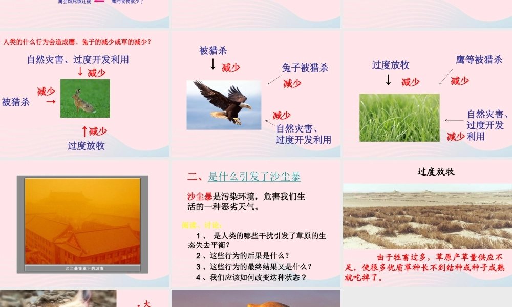 五年级科学上册 1.8《维护生态平衡》课件（2） 教科版-教科版小学五年级上册自然科学课件