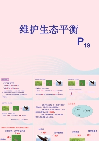 五年级科学上册 1.8《维护生态平衡》课件（2） 教科版-教科版小学五年级上册自然科学课件