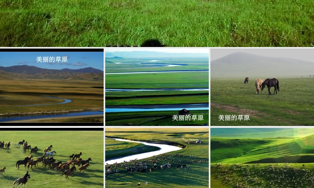 五年级科学上册 1.8《维护生态平衡》课件（4） 教科版-教科版小学五年级上册自然科学课件