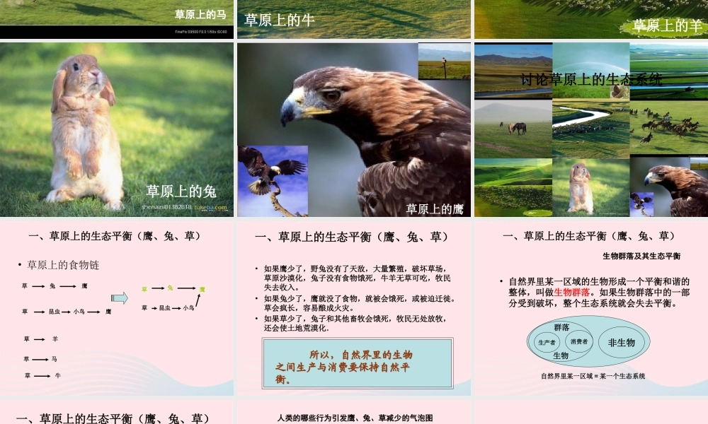 五年级科学上册 1.8《维护生态平衡》课件（4） 教科版-教科版小学五年级上册自然科学课件