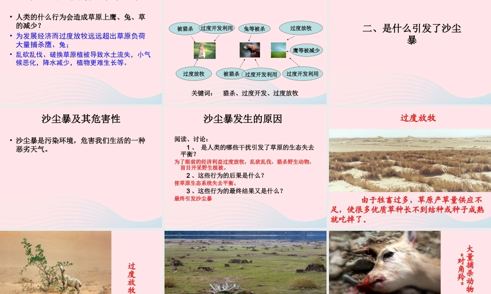 五年级科学上册 1.8《维护生态平衡》课件（4） 教科版-教科版小学五年级上册自然科学课件