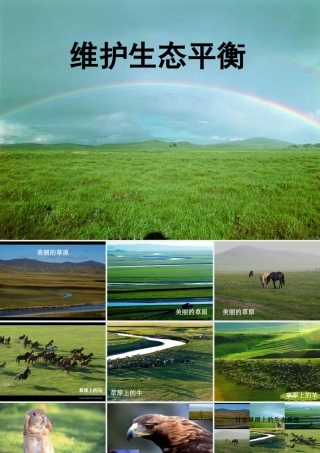 五年级科学上册 1.8《维护生态平衡》课件（4） 教科版-教科版小学五年级上册自然科学课件