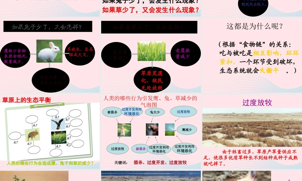 五年级科学上册 1.8《维护生态平衡》课件（5） 教科版-教科版小学五年级上册自然科学课件