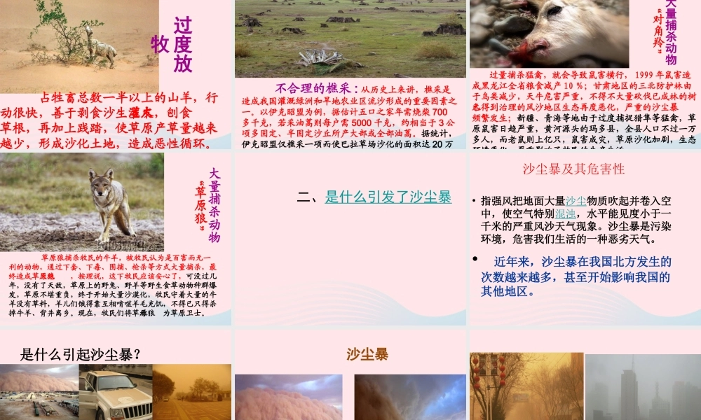 五年级科学上册 1.8《维护生态平衡》课件（5） 教科版-教科版小学五年级上册自然科学课件