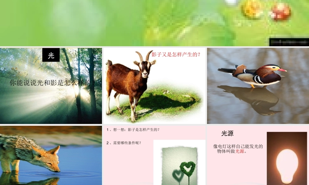 五年级科学上册 2.1《光和影》课件（3） 教科版-教科版小学五年级上册自然科学课件