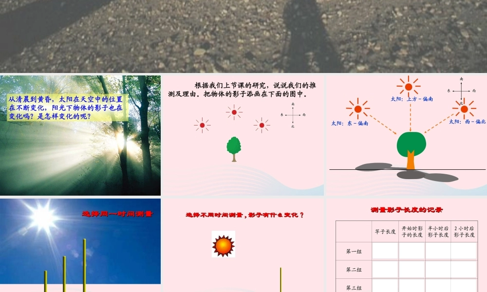 五年级科学上册 2.2《阳光下的影子》课件（1） 教科版-教科版小学五年级上册自然科学课件