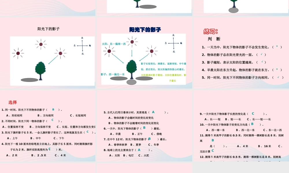 五年级科学上册 2.2《阳光下的影子》课件（2） 教科版-教科版小学五年级上册自然科学课件