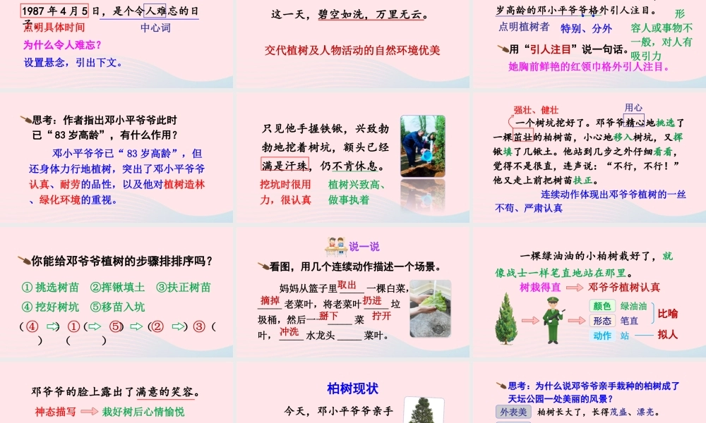 二年级语文下册 课文（一）4《邓小平爷爷植树》教学课件1 新人教版-新人教版小学二年级下册语文课件