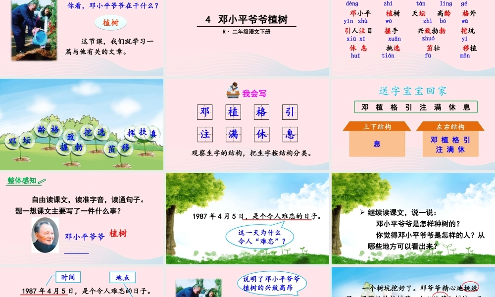 二年级语文下册 课文（一）4《邓小平爷爷植树》教学课件2 新人教版-新人教版小学二年级下册语文课件