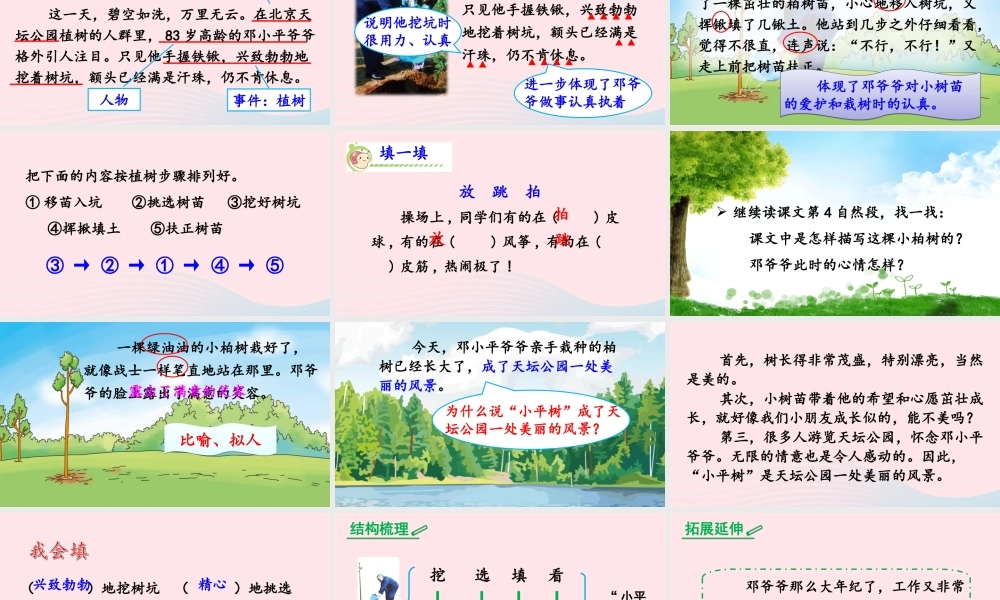 二年级语文下册 课文（一）4《邓小平爷爷植树》教学课件2 新人教版-新人教版小学二年级下册语文课件
