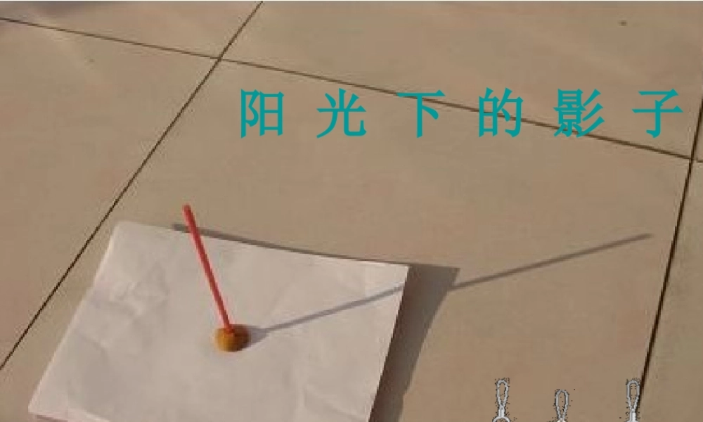 五年级科学上册 2.2《阳光下的影子》课件（5） 教科版-教科版小学五年级上册自然科学课件