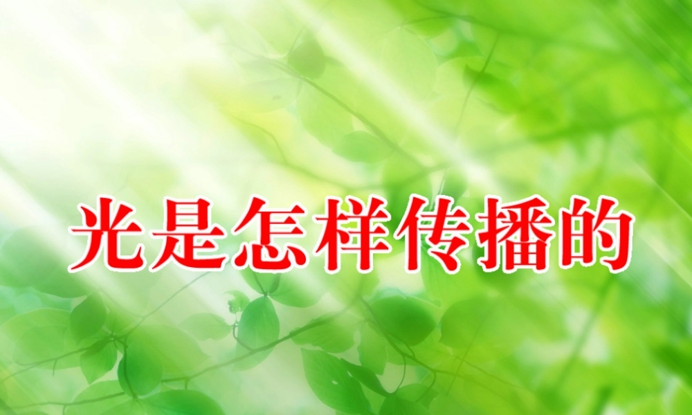 五年级科学上册 2.3《光是怎样传播的》课件（2） 教科版-教科版小学五年级上册自然科学课件